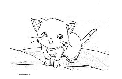 Раскраски Котики Аниме распечатать бесплатно в формате А4 (5 картинок) |  RaskraskA4.ru