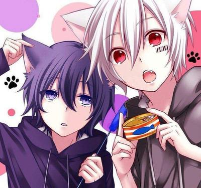 Картинки по запросу парни с ушками | Anime cat boy, Anime neko, Anime