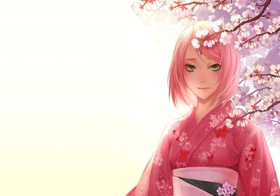 Beautiful Sakura Blossoms
