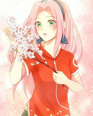 Sakura, anime, naruto, HD phone wallpaper | Peakpx