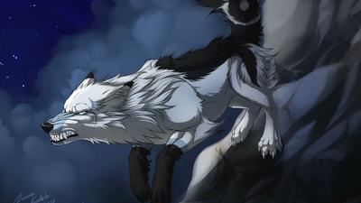 А вот и картинка аниме волка | Черные волки, Белые волки, Черный волк