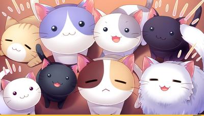 Стая котиков | Cute anime cat, Anime cat, Kawaii wallpaper
