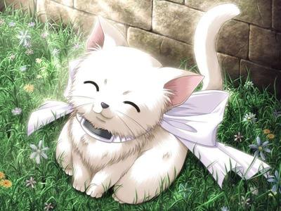 Милый котик аниме на против котята…» — создано в Шедевруме