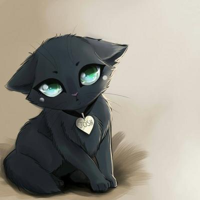 Моя кошка! | Котята, Искусство черных кошек, Милые котики