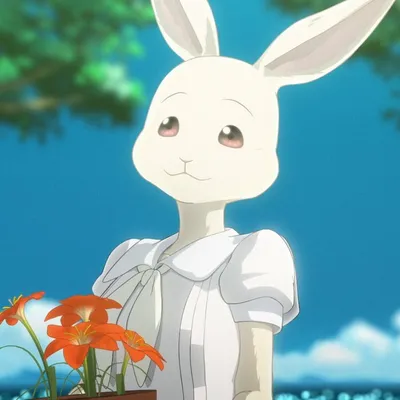 Топ 20 лучших девушек-кроликов в аниме | Тайны Японии | Дзен