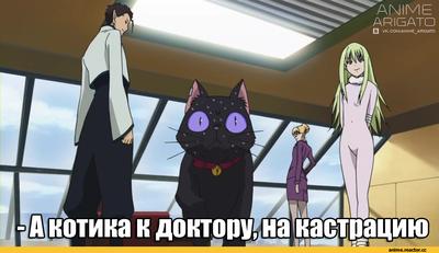 Аниме мемы, про аниме(как не странно) : r/ru_Anime