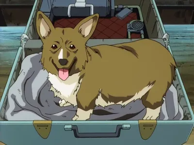 ТОП 7 самых милых собак в аниме | Pet Tales | Дзен