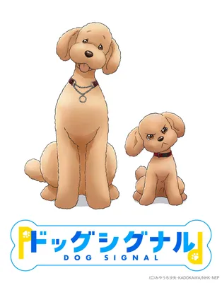 Алмазная мозаика аниме / Картина стразами Мопс / Красивые собаки - купить с  доставкой по выгодным ценам в интернет-магазине OZON (1273703373)