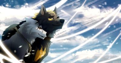 Двусторонняя наволочка Dakimakura из аниме «волк о'доннелл» | AliExpress