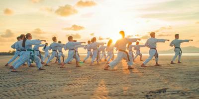 10 легендарных мастеров боевых искусств нашего времени | Пикабу