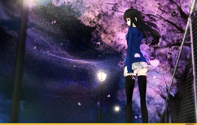 Anime Artist (Аниме арт, Аниме-арт) :: красивые картинки :: Night :: большие  картинки :: art (арт) / картинки, гифки, прикольные комиксы, интересные  статьи по теме.