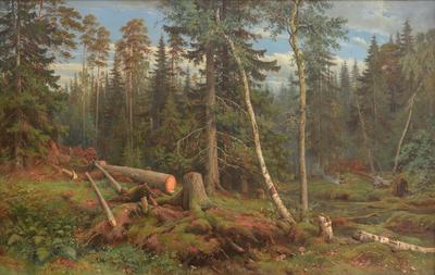 Картина «Сосновый лес», Шишкин — Описание и ВидеоОбзор