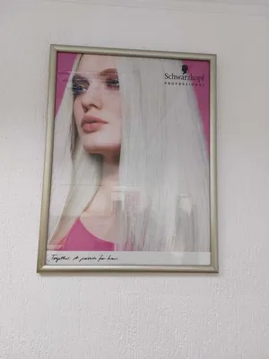 Картина в салон красоты: Модульные картины для салона красоты картина  девочка с разноцветными волосами (ID#1682516001), цена: 2100 ₴, купить на  Prom.ua