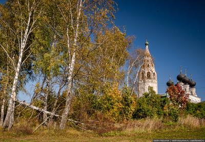 Знаменитая костромская церковь с картины «Грачи прилетели» просит о помощи  • TOP24 • Кострома