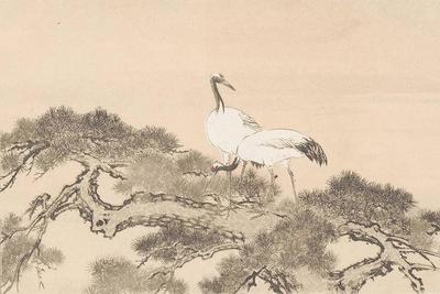 Журавли и сосны в японской живописи. Картины японских художников с  изображением журавлей и сосен.