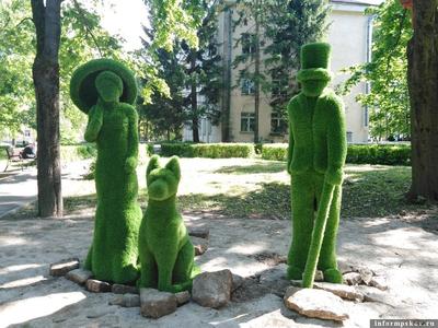 Топиар — зеленое искусство фигурной стрижки