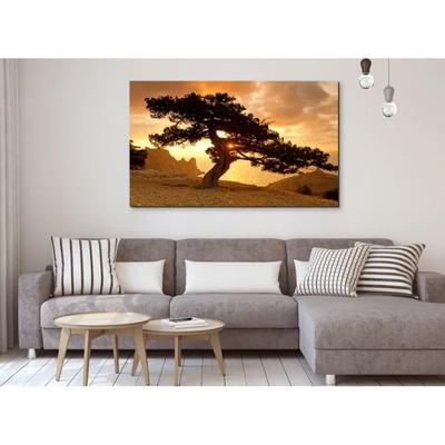 60x100 cм, Дерево на закате Интерьерная картина на холсте на стену - Купить  картины недорогие современные холст в спальню, гостиную, кухню Украина, цена