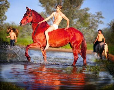 9 любопытных фактов о картине «Купание красного коня» | Публикации | Вокруг  Света