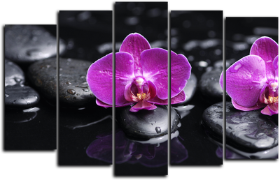 Модульная картина \"Орхидея на камнях\"