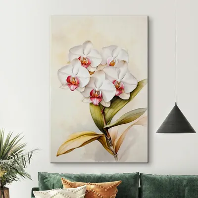 Картина по номерам \"Орхидея\"