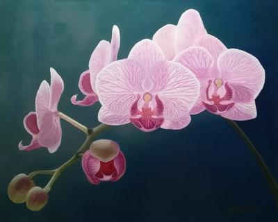 Картина «Орхидея» Холст, Масло 2022 г.