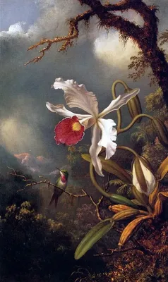 Фотообои \"Орхидея на белом фоне\" - Арт. 170008 | Купить в интернет-магазине  Уютная стена