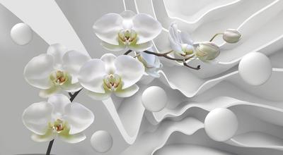 Модульная картина Орхидеи и сферы на стену – Купить в интернет магазине  недорого | Фото и Цены в каталоге allstick.ru