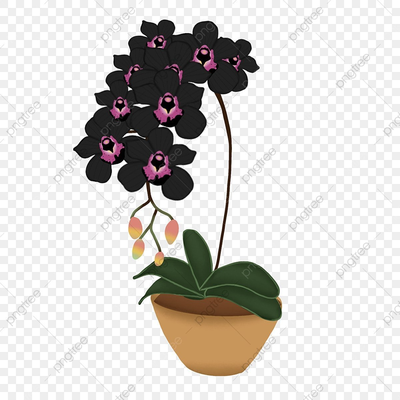 Орхидеи. Холст, акрил | Пикабу