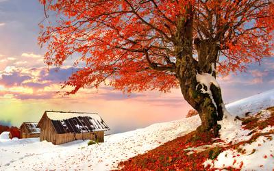 Картинки картина, природа, осень, река, лес, горы, небо, - обои 2560x1600,  картинка №120039