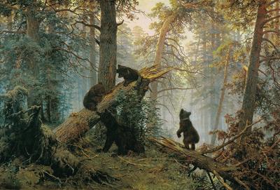 Картина три медведя фото