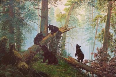 Шишкин три медведя - фото и картинки: 68 штук