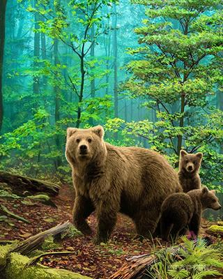 Картина по номерам \"Три медведя\"