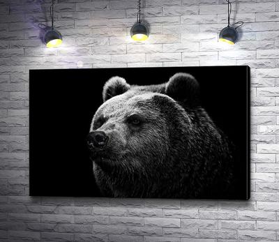 Картина Схватка медведя с собаками из янтаря купить в Украине по  привлекательной цене — Amber Stone