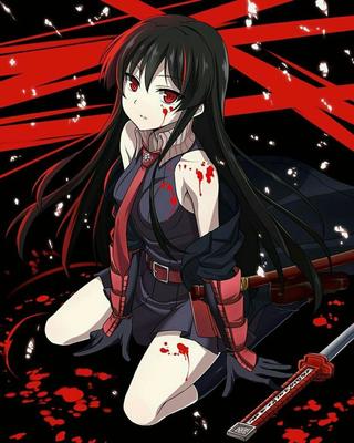 Pin de Raditya em Akame Ga Kill | Anime, Personagens de anime, Arte anime