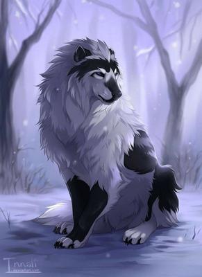Король Лев аниме львицы - 30 фото