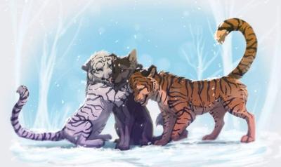 Картинки горы, девушка, белый тигр, Аниме, ночь, тигр, снег, зима - обои  1280x1024, картинка №11378