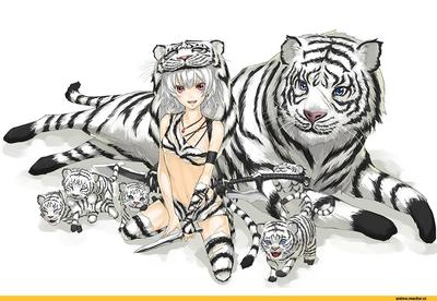 Раскраски аниме тигра (36 фото) » Картинки, раскраски и трафареты для всех  - Klev.CLUB