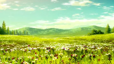 Фон аниме поле с цветами (55 фото)