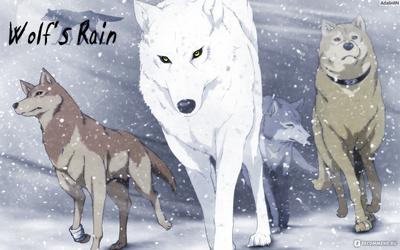 Wolf's Rain / Аниме