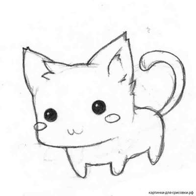 Самые легкие рисунки аниме животных (48 фото) » рисунки для срисовки на  Газ-квас.ком