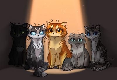 Коты Воители Для Срисовки (56 Фото)