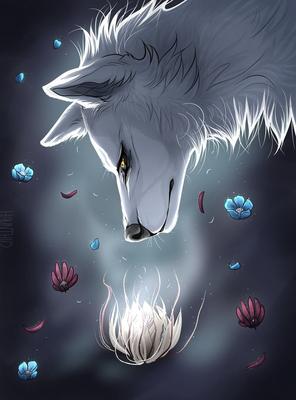 Волк. обои на телефон | Anime wolf, Anime, Wolf