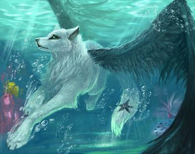волки аниме Аниме волки #yandeximages | Fantasy wolf, Anime wolf, Animal  drawings