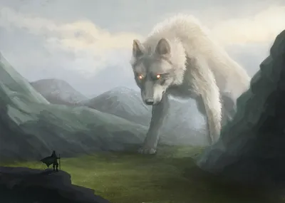 Только волк не выступает в цирке: какие народы почитают волков | Обратная  сторона Истории|Легенды | Дзен