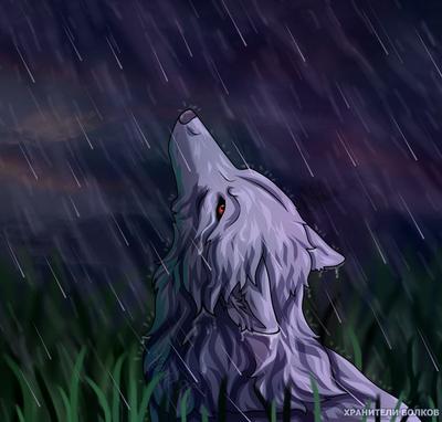 Пин от пользователя Arrianna Mallory на доске anime wolves | Фэнтези, Ночь,  Волк