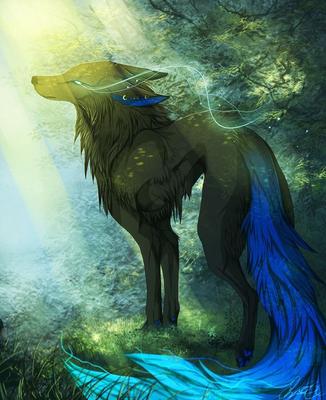 1000+ images about anime wolf on Pinterest | Изображения волков, Мифические  существа, Сказочные существа