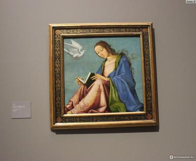 Сикстинская Мадонна\" Рафаэля и другие шедевры - в открывшемся восточном  крыле Дрезденской картинной галереи | Артхив