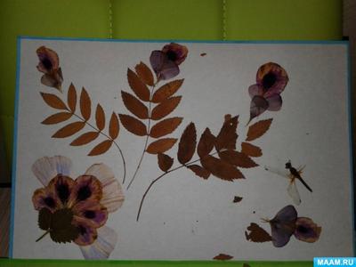 Японская техника ошибана: картины из растений и цветов — BurdaStyle.ru
