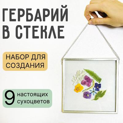 Картина из сухоцветов А4 (гербарий) ручной работы купить в Беларуси, цены  на HandMade