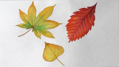 Картина Узоры из листьев | RedPandaShop.